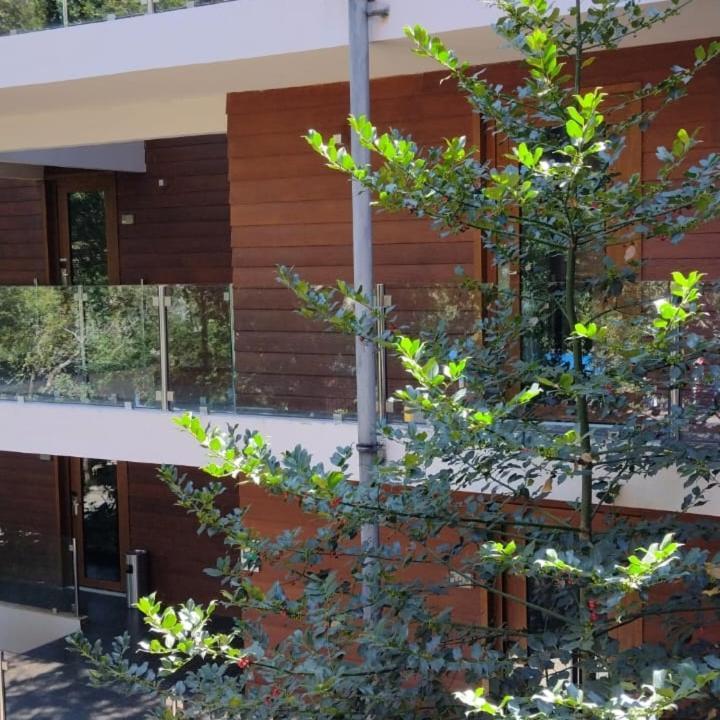 Hotel Playa Grande Suites Pucon Exterior photo